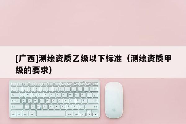 [廣西]測繪資質(zhì)乙級以下標(biāo)準(zhǔn)（測繪資質(zhì)甲級的要求）