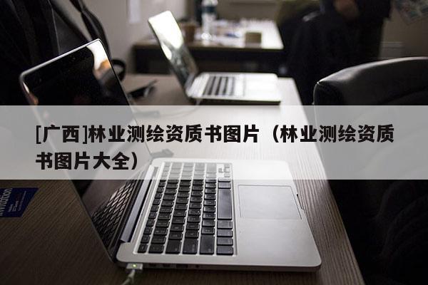 [廣西]林業(yè)測繪資質書圖片（林業(yè)測繪資質書圖片大全）