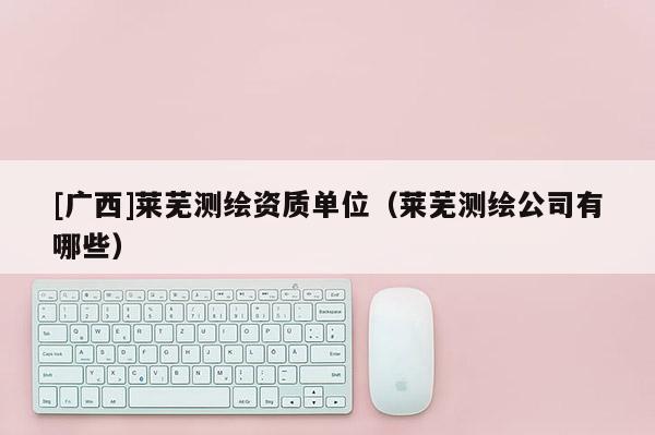 [廣西]萊蕪測繪資質(zhì)單位（萊蕪測繪公司有哪些）