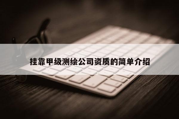 掛靠甲級測繪公司資質(zhì)的簡單介紹
