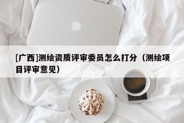 [廣西]測繪資質評審委員怎么打分（測繪項目評審意見）