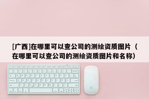 [廣西]在哪里可以查公司的測(cè)繪資質(zhì)圖片（在哪里可以查公司的測(cè)繪資質(zhì)圖片和名稱(chēng)）
